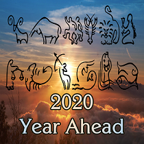 Your Purchased Year Ahead Videos