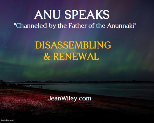 ANU SPEAKS: Disassembling & Renewal
