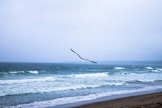 Navigating the Fog and Building the Dream