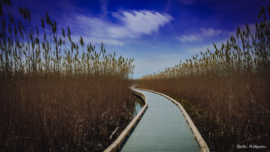 February 11th: Mercury conjunct Pluto and the Human Journey