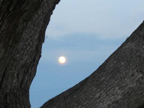 Oct. 17th: Full Moon Aries