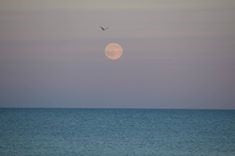 December 3rd:  Full Moon in Gemini and Mercury Retrograde