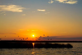 Jan. 26 - March 17th:  Mars transits Sagittarius ~ finding your courage ~