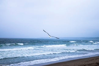 Feb. 17 - March 6th: Mercury transits Pisces
