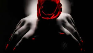 Nov. 7 - December 1st:  Venus transits Scorpio