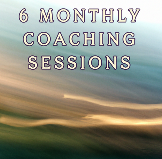6 Monthly Coaching Sessions