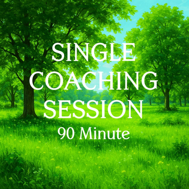 90 Minute Session: Embodied Support, Deeper Insight & Practical Integration