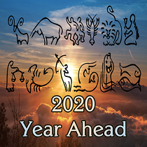 2020 Year Ahead Video Products