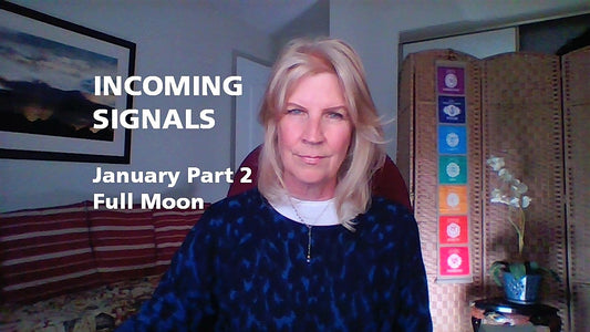 January Part 2 ~ INCOMING SIGNALS