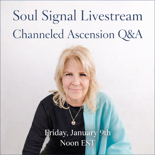 Live Transmission + Q&A