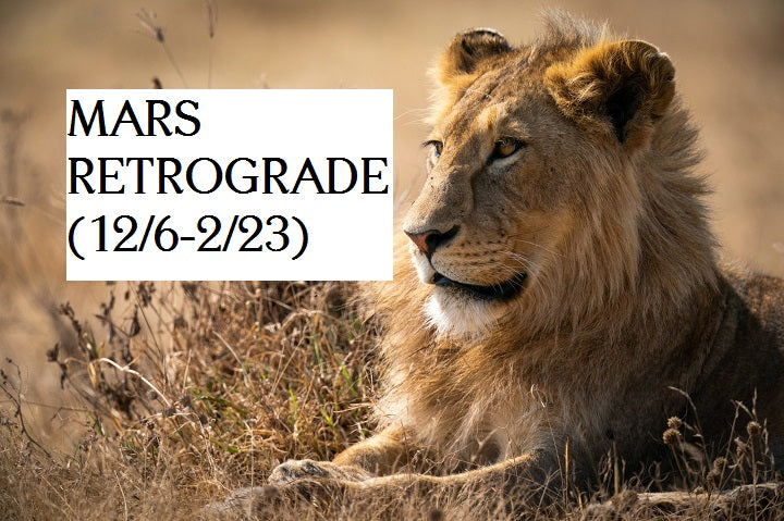 Mars Retrograde