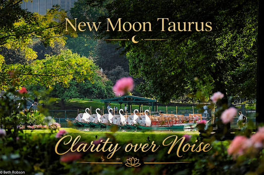 May 16th:  New Moon Taurus and Live Sessions
