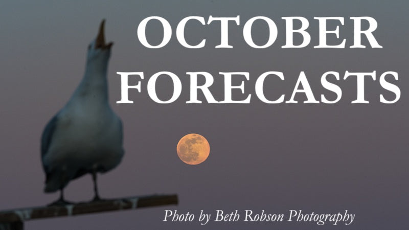 7-Day Free Trial:  September/October Forecasts and more...