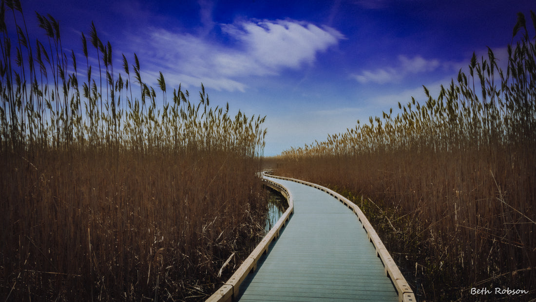 February 11th:  Mercury conjunct Pluto and the Human Journey