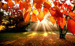 Friday, September 22nd: Happy Fall Equinox exact at 4:02 p.m EDT