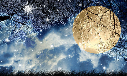 December 21st:  Winter Solstice