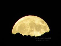 Saturday, November 4th:  Super Full Moon in Taurus