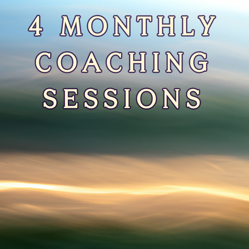 4 Monthly Coaching Sessions