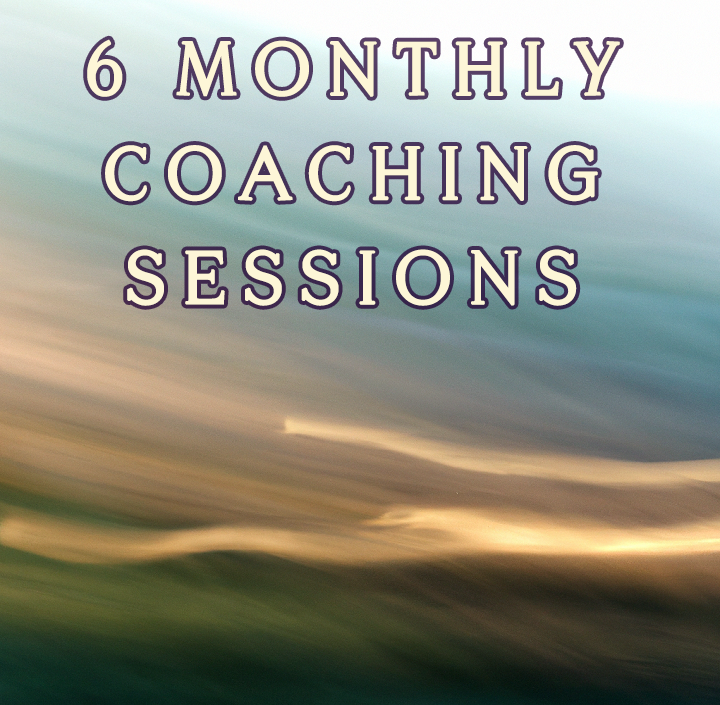 6 Monthly Coaching Sessions