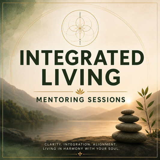 Integrated Living Mentoring Sessions