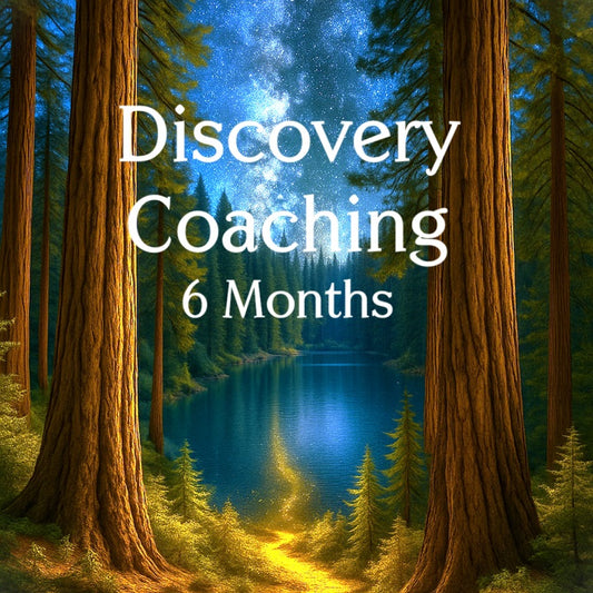 6 Monthly Personal Discovery Coaching Package