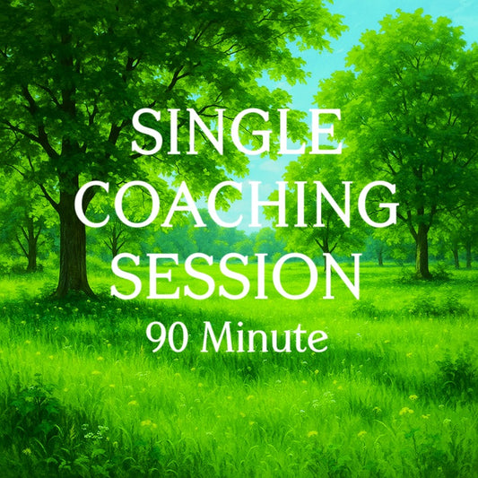 90 Minute Session: Embodied Support, Deeper Insight & Practical Integration
