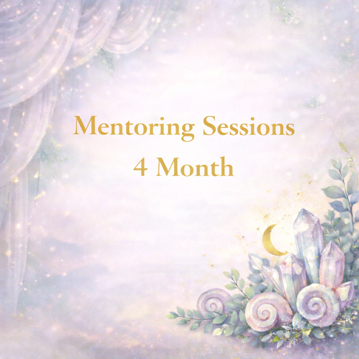 4 Month Mentoring Sessions