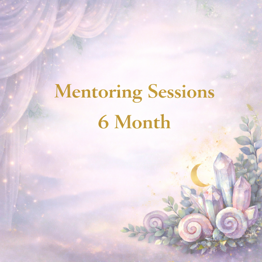 6 Monthly Mentoring Sessions