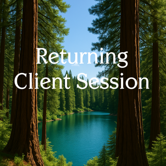 Returning Client 60 Minute Session: Refocus, Reconnect, Realign